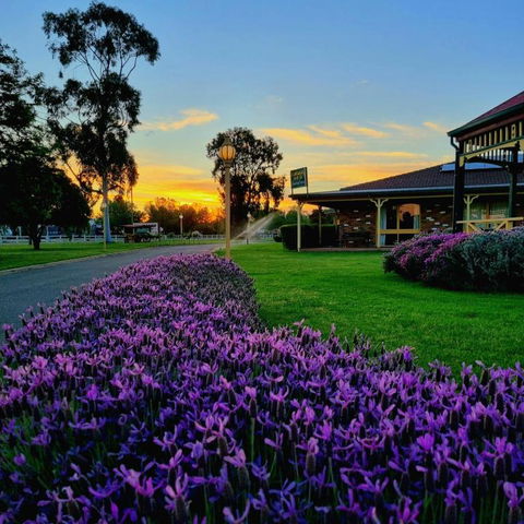 Quality Inn Carriage House - Tourism Bookings 1
