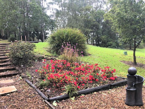 Ravensbourne Escape-Tree Tops - Accommodation Europe 2