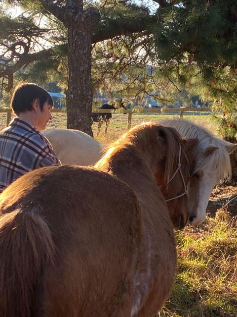 Private Country Escape With Valley Views - Tourism Bookings 3