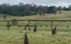 Private Country Escape With Valley Views - thumb 1