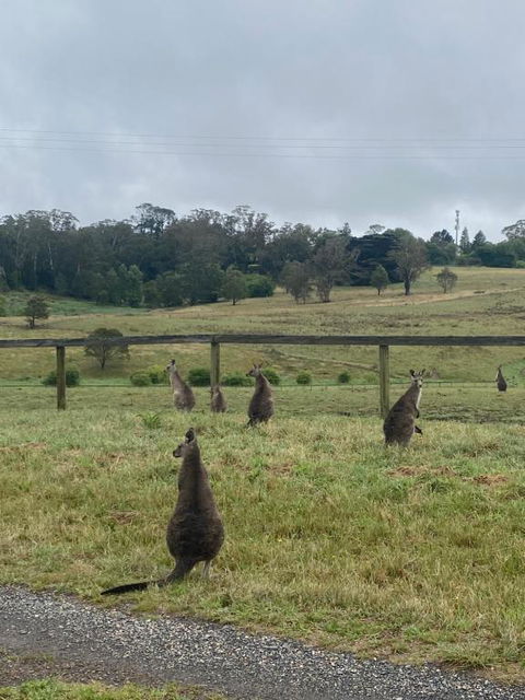 Private Country Escape With Valley Views - Tourism Bookings 1
