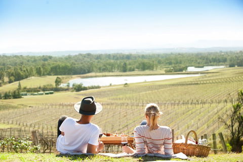 Audrey Wilkinson Vineyard - Tourism Bookings 0