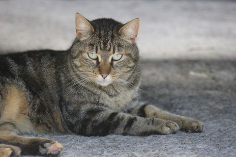 Avoca Park - Events Australia 3