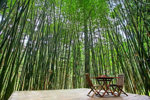 Azabu Boutique Accommodation - Accommodation Europe 1