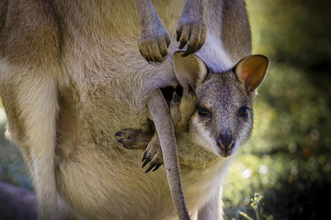 Bamurru Plains - Events Australia 3