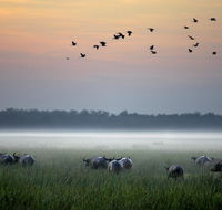 Bamurru Plains - Events Australia