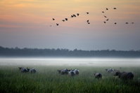 Bamurru Plains