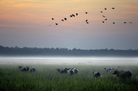 Bamurru Plains - Events Australia 0