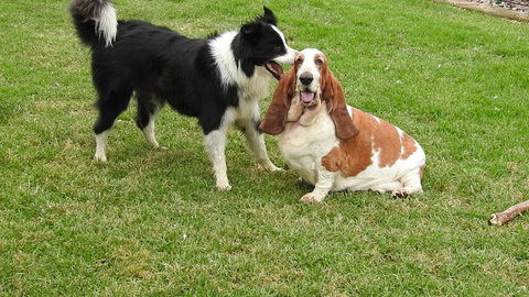 Barklysuites Apartments - Tourism Bookings 2