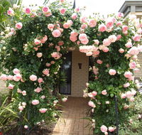 Baudins of Busselton Bed and Breakfast - Tourism Bookings