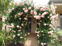 Baudins of Busselton Bed and Breakfast