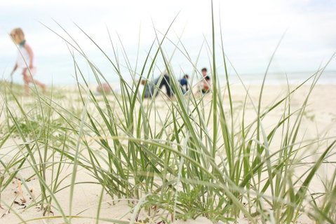 Beachfront At Bribie 2 Puppy Friendly - Tourism Bookings 3