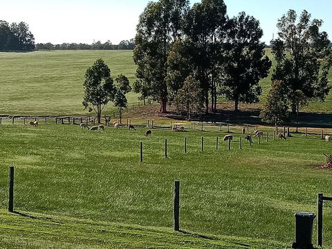 Redtail Ridge Cottages - Tourism Bookings 1
