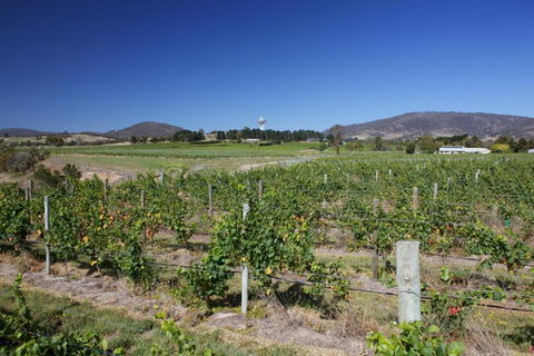 Riversdale Estate Cottages - Events Australia 1