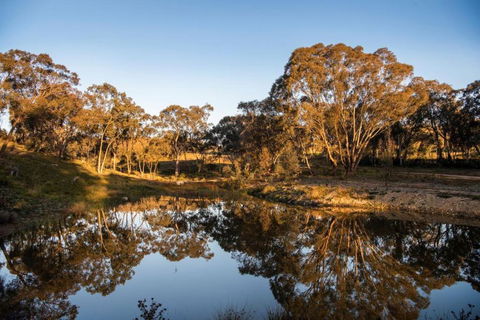 Rose Quartz - 1 Bed With Mountain Views - Kundalini Lodge - Events Australia 1