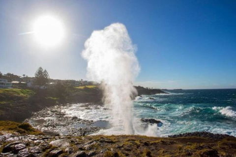 SALTY SOUL KIAMA - Tiny House By The Ocean - Events Australia 3