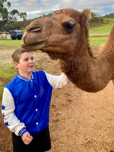 Sandalwood Downs Fabulous Farm Stay TOODYAY - Tourism Bookings 1