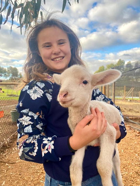 Sandalwood Downs Fabulous Farm Stay TOODYAY - Tourism Bookings 2