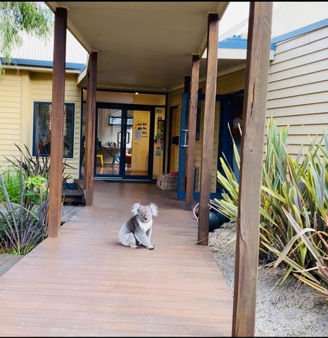 Sandpiper Motel Apollo Bay - Tourism Bookings 3