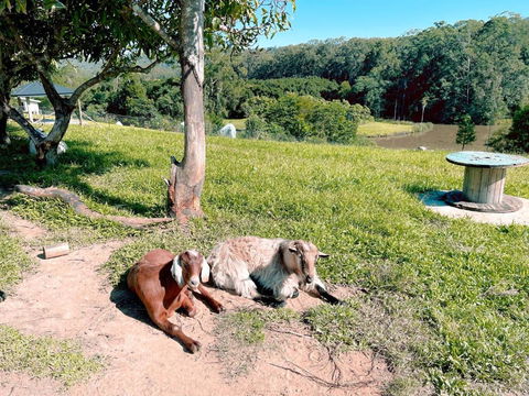 Seven Peaks Farm Stay - Events Australia 2