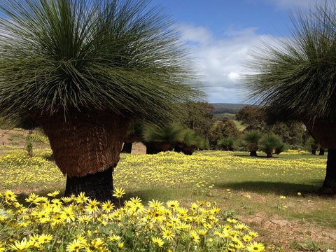 Bed + Bauhaus - Events Australia 1