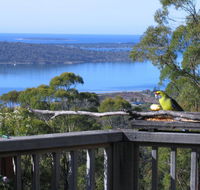 Bed in the Treetops BB - Tourism Bookings