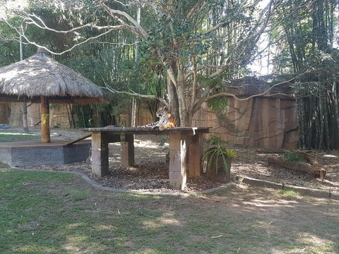 Beerwah House - Events Australia 3