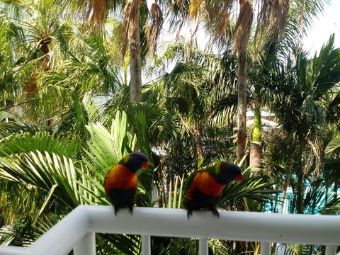 Bel Air Private Condominium - Accommodation Europe 2