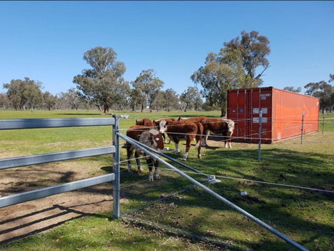 Big Tiny Jindera Park - Events Australia 2