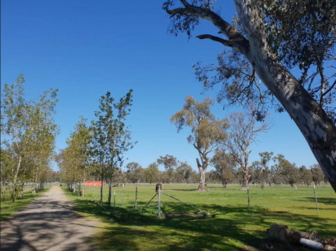 Big Tiny Jindera Park - Events Australia 3