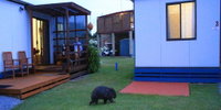 Book Kelso Accommodation Vacations Tourism Bookings Tourism Bookings