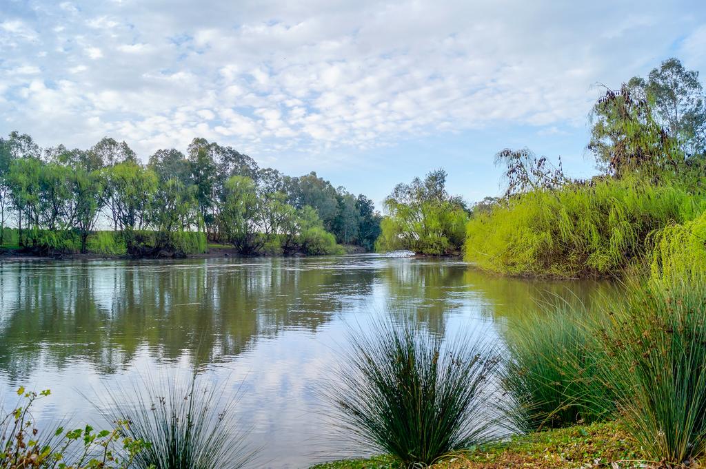 San Isidore NSW Tourism Bookings