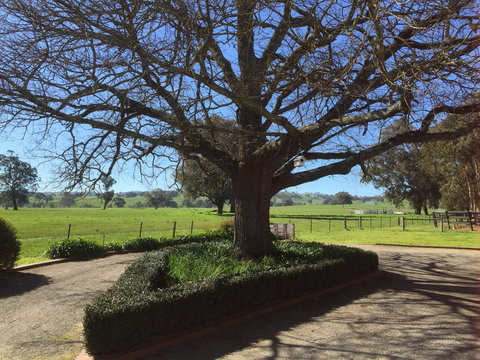 Birchwood Cottage - Events Australia 1