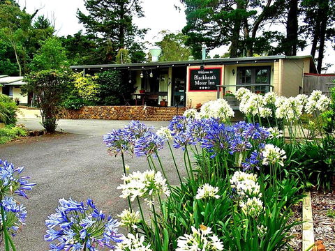 Blackheath Motor Inn - Tourism Bookings 0