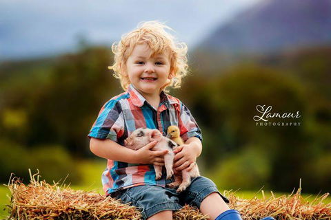 Blackwattle Farm - Events Australia 0