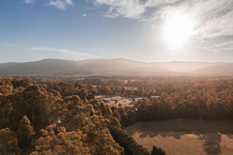 The Mill Houses Narbethong - Events Australia 1