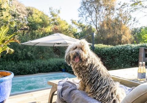 Warrawee - Events Australia 0