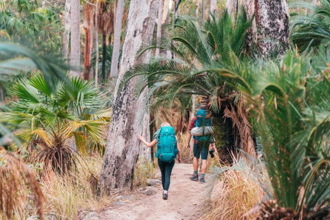 BIG4 Breeze Holiday Parks - Carnarvon Gorge - Tourism Bookings 0