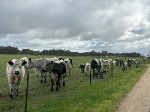 Glamping At Beltie Park - Events Australia 3