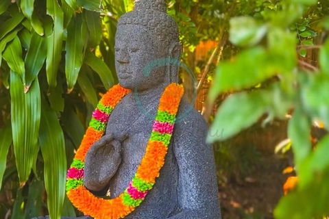 Zenhouse: 6-BR Balinese Tropical Oasis In Nightcliff Central - Events Australia 3