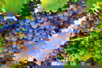 The Fully Local Private Tour, Perth