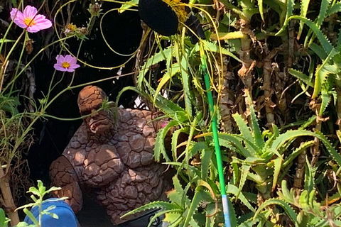 The Fully Local (Private) Tour - Events Australia 5