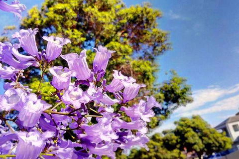 Big Perth (Private) Day Tour - Tourism Bookings 3