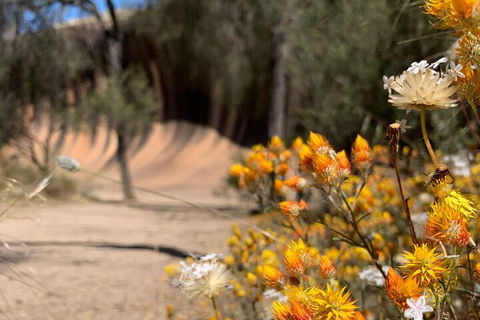 The Big Wave Rock (Private) Day Tour - Events Australia 3