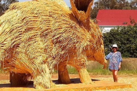 The Big Wave Rock (Private) Day Tour - Events Australia 5