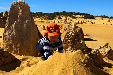 Perth Kids Explorer (Private) Day Tour - Events Australia 3