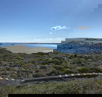 Penguin Island And Fremantle - Canoe Chocolate  Coffee - Events Australia