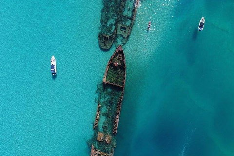 Cruise In Moreton Bay Marine Park And Moreton Island - Tourism Bookings 1
