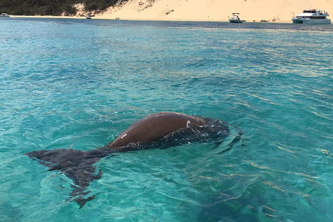 Cruise In Moreton Bay Marine Park And Moreton Island - Tourism Bookings 2