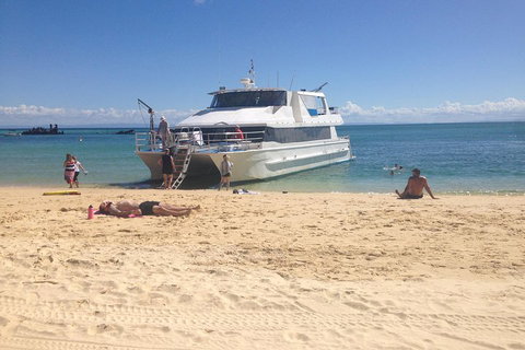 Cruise In Moreton Bay Marine Park And Moreton Island - Tourism Bookings 4